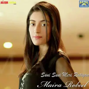 Suni Suni Meri Ratiyan image