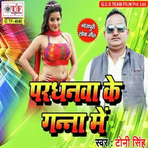 Pardhanwa Ke Ganna Me image