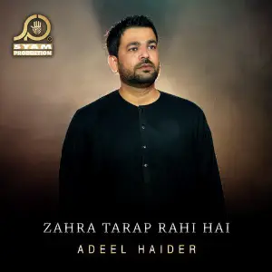Zahra Tarap Rahi Hai - Single image