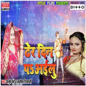 Dher Din Pa Ailu image
