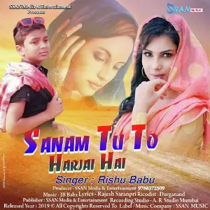 Sanam Tu To Harjai Hai image