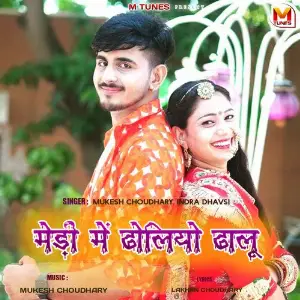 Medi Me Dholiyo Dhalu image