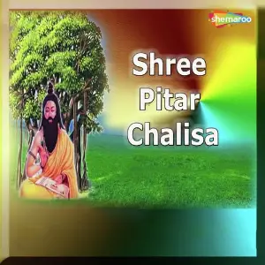 Shree Pitar Chalisa image