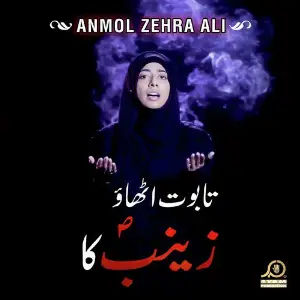 Taboot Uthao Zainab Kaa image