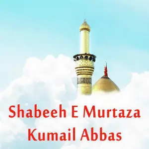 Shabeeh E Murtaza - Single image