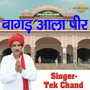 Baagad Aala Peer image
