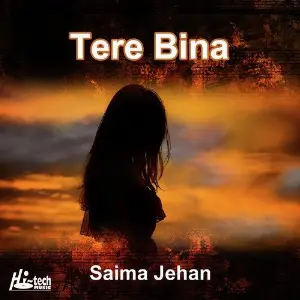 Tere Bina image