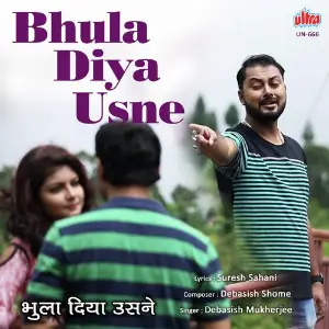 Bhula Diya Usne image