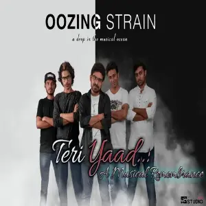 Teri Yaad image