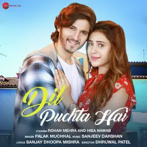 Dil Puchta Hai image