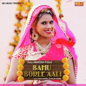 Bahu Borle Aali image