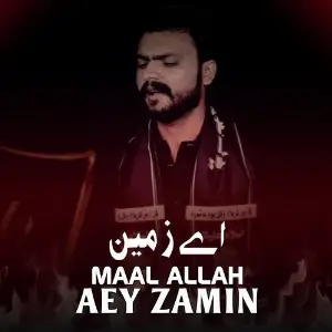 Aey Zamin image