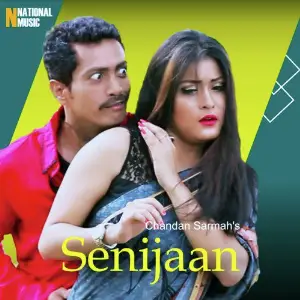 Senijaan - Single image