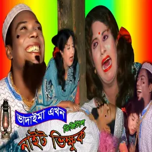 Digetal Night Bikhuk image