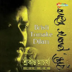 Bristi Tomake Dilam image