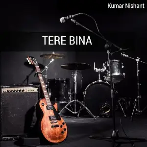 Tere Bina image
