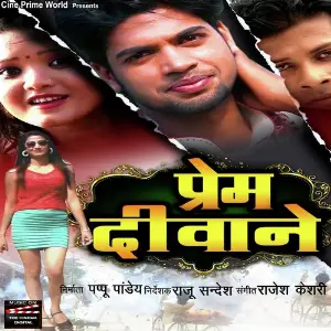 Prem Deewane image