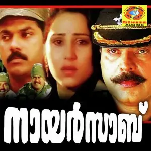 Punjavayalu (From Nair Saab) image