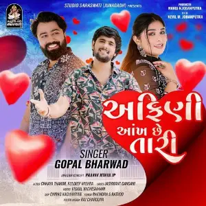 Afini Aakh Chhe Tari image