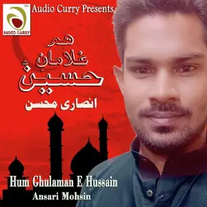 Hum Ghulaman E Hussain image