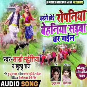 Kaese Hoe Ropaniya Behaniya Sadva Char Gael image