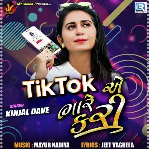 Tik Tok Ae Bhare Kari image