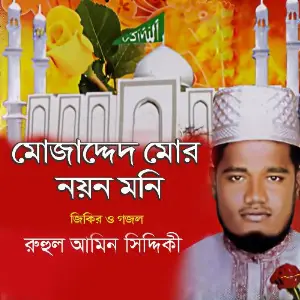 Mujadded Mor Noyon Moni image