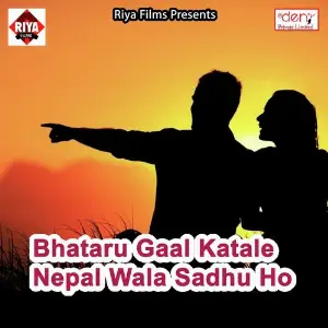 Bhataru Gaal Katale Nepal Wala Sadhu Ho image