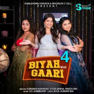 BIYAH WALI GAARI 4 image