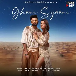 Ghani Syaani image