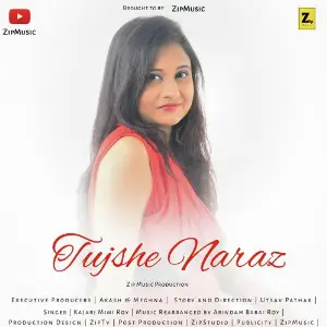 Tujshe Naraz - Single image
