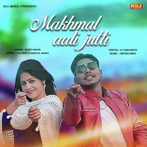 Makhmal Aali Jutti image
