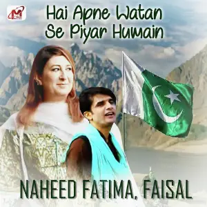 Hai Apne Watan Se Piyar Humain - Single image