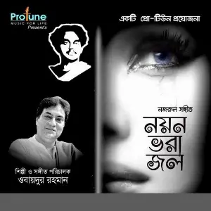 Noyon Bhora Jol image