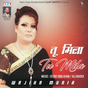 Tu Mila image