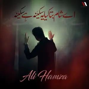Ay Sham Bata Kia Ye Sakina Hai Sakina - Single image