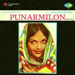 Punarmilon image