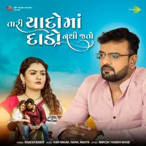 Tari Yaado Ma Dado Nathi Jato image