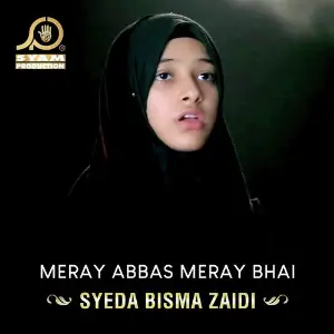 Meray Abbas Meray Bhai - Single image