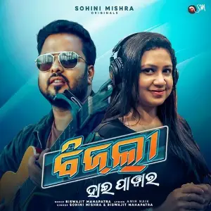 Bijli High Power image