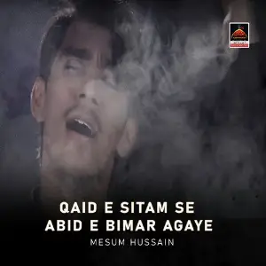 Qaid e Sitam Se Abid e Bimar Agaye image