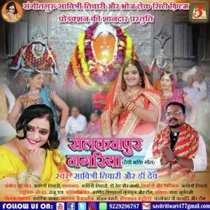 Salkanpur Wali Mata image