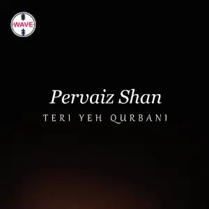 Teri Yeh Qurbani image