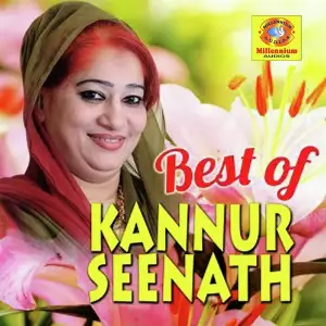 Hits of Kannurseenath image