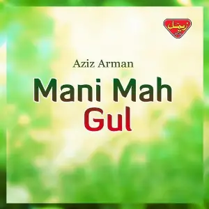 Mani Mah Gul image