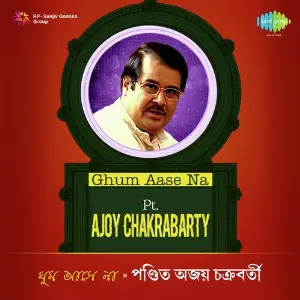 Ghum Aase Na - Pt. Ajoy Chakrabarty image