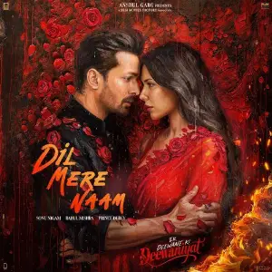 Dil Mere Naam (From Ek Deewane Ki Deewaniyat) (Original Motion Picture Soundtrack) image
