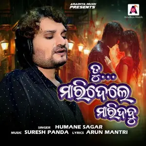 Tu Maridele Maridabu image