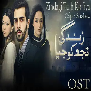 100 Din Ki Kahani Aik Pal Ki Kahani Hai (From Zindagi Tujh Ko Jiya) image