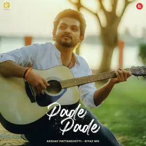 Pade Pade image
